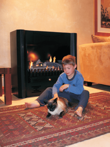 Freestanding Flue-less